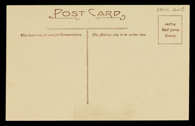 No text description is available for this image