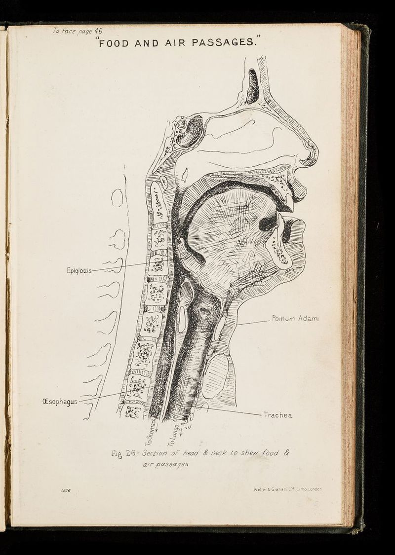 No text description is available for this image