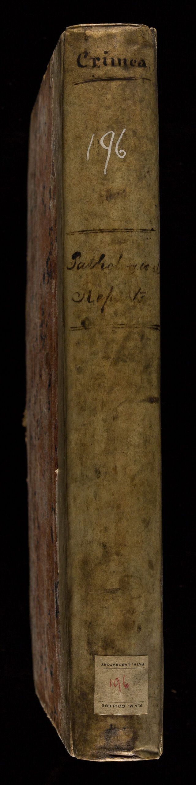 No text description is available for this image