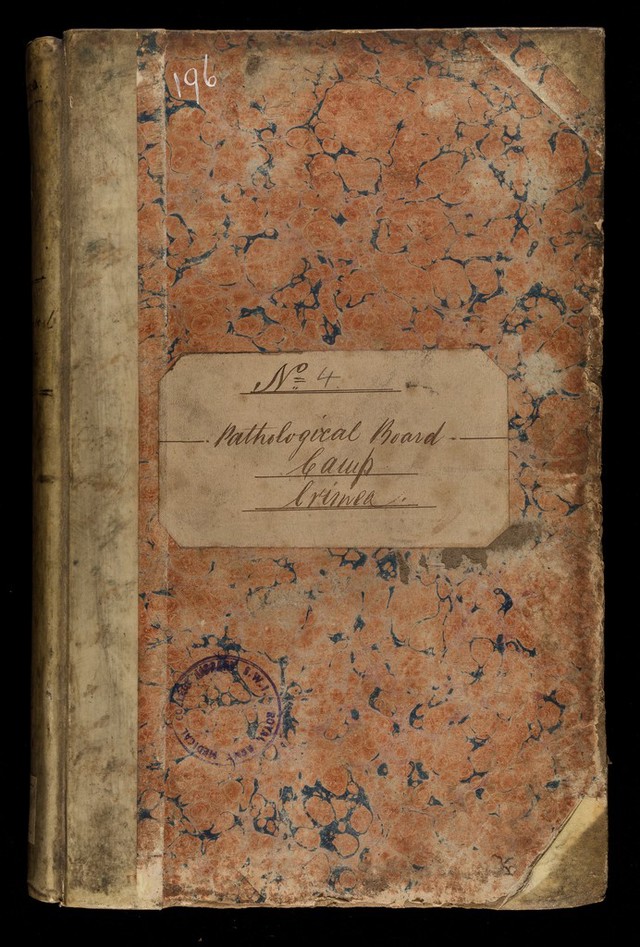 No text description is available for this image