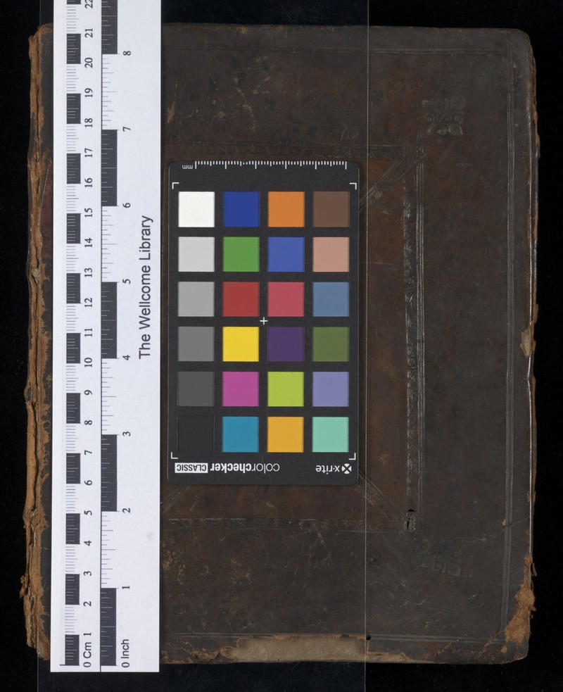 No text description is available for this image