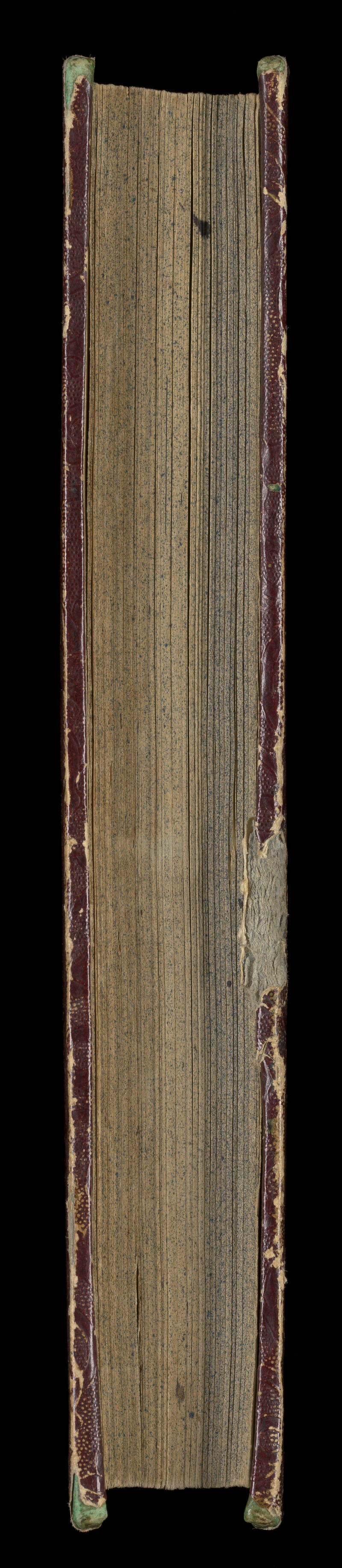 No text description is available for this image