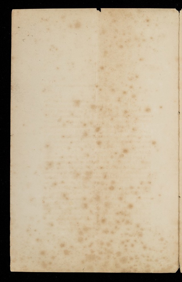 digitised image 2