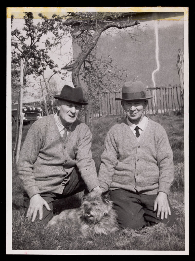 No text description is available for this image