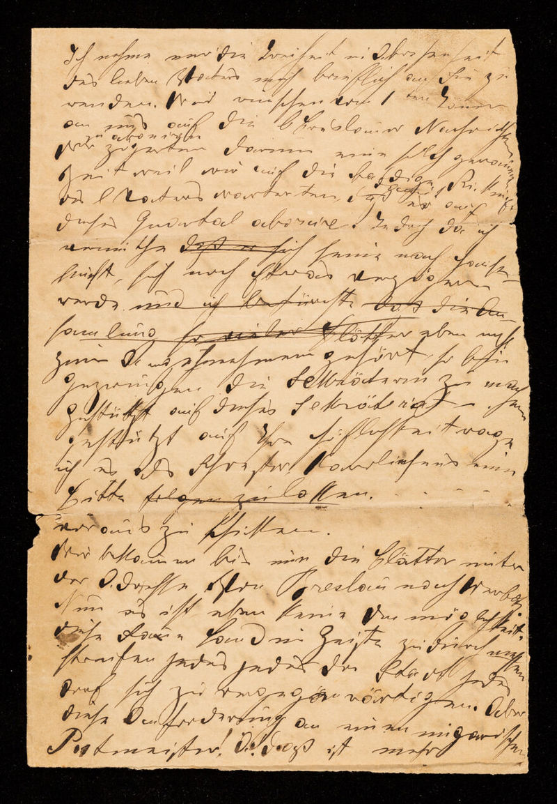 No text description is available for this image