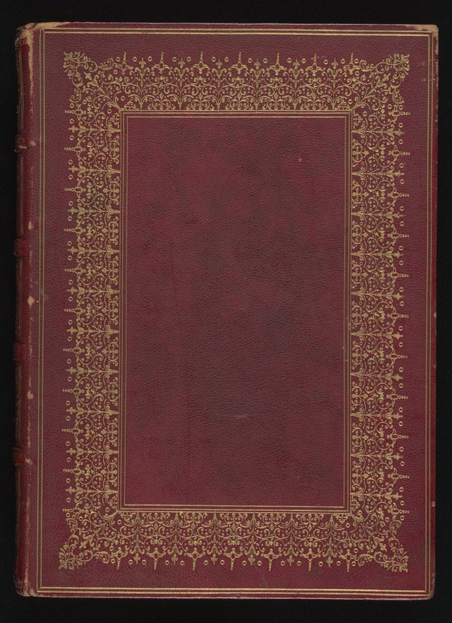 No text description is available for this image