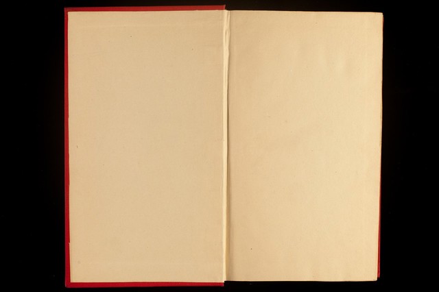 digitised image 2