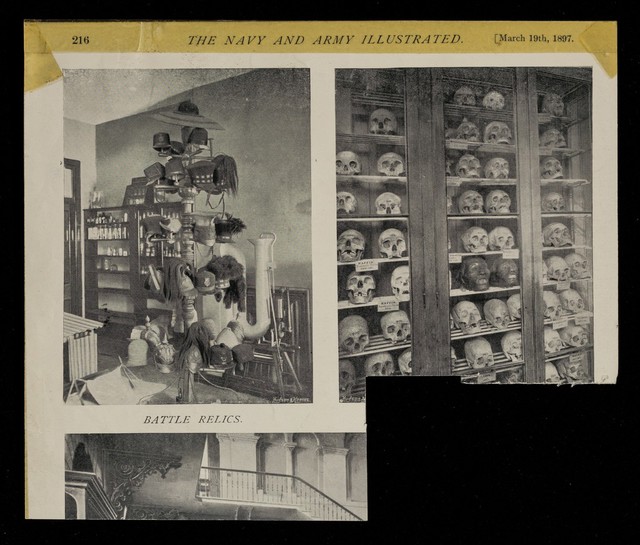 No text description is available for this image