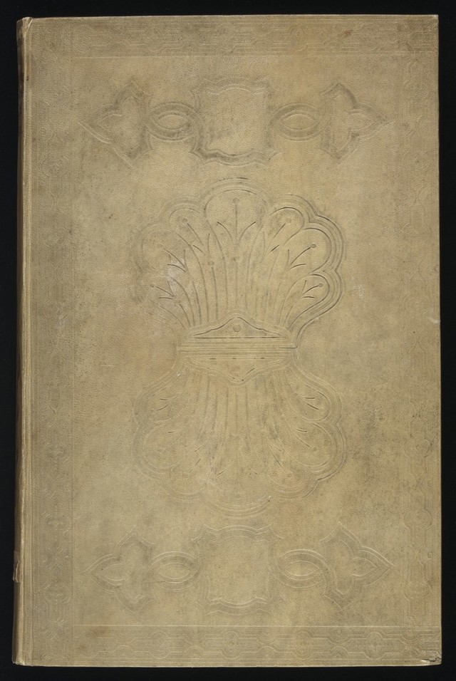 digitised image 1
