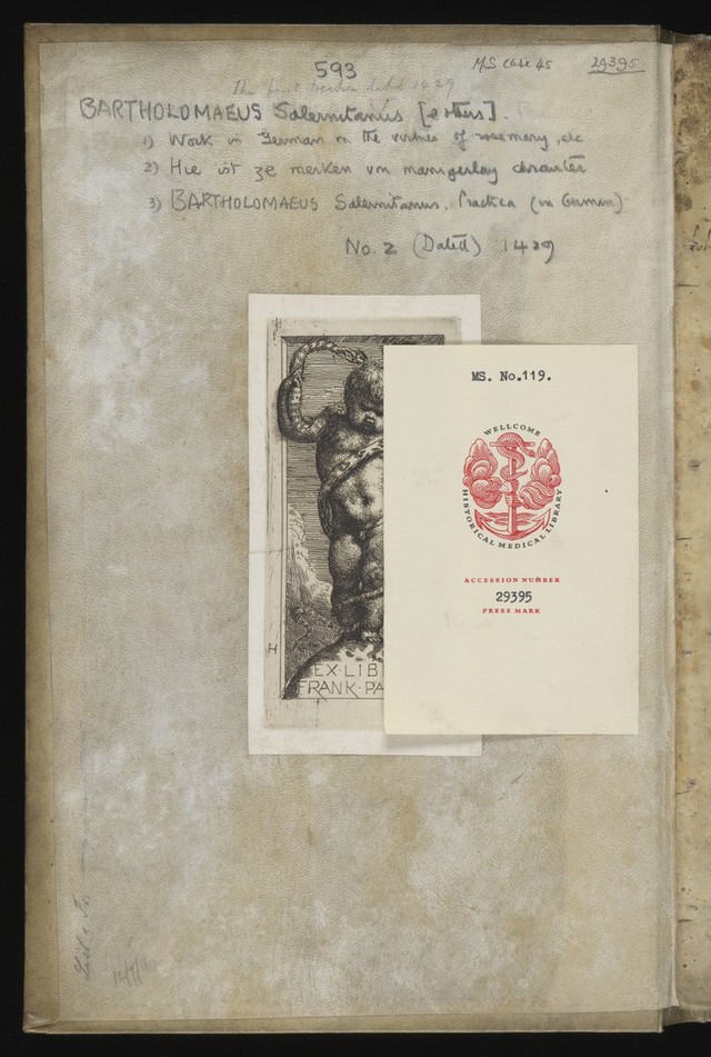 digitised image 2