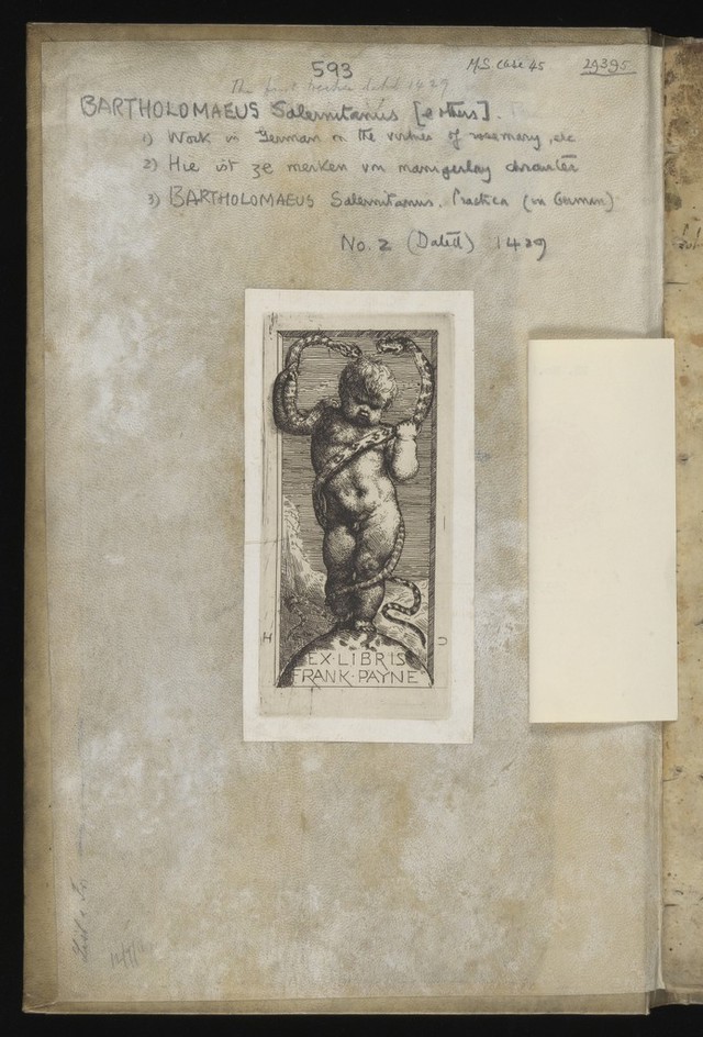 digitised image 3