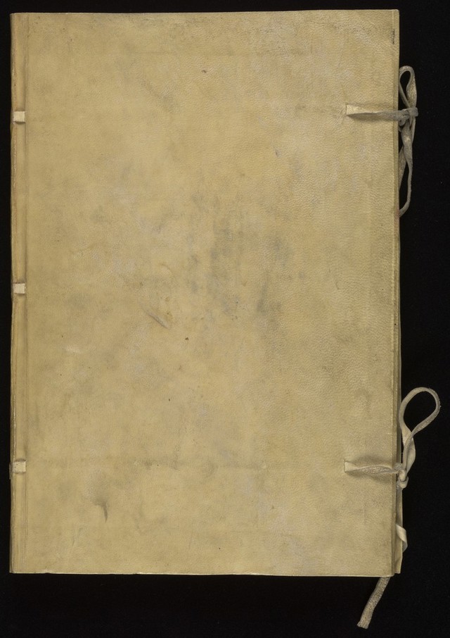 digitised image 1