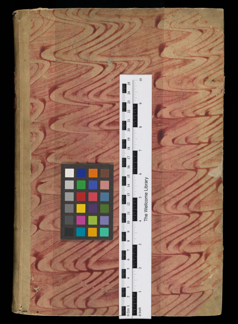 No text description is available for this image