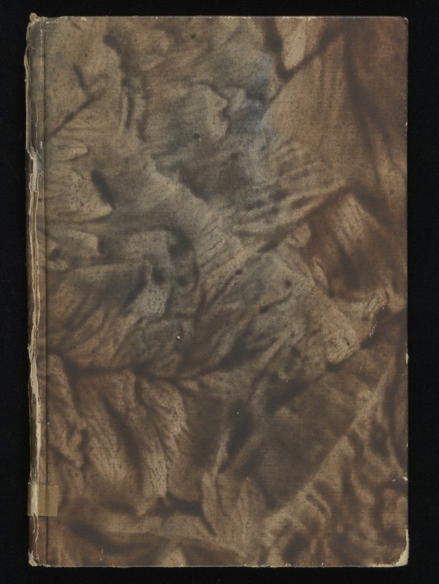 digitised image 1
