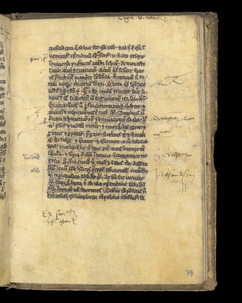 No text description is available for this image