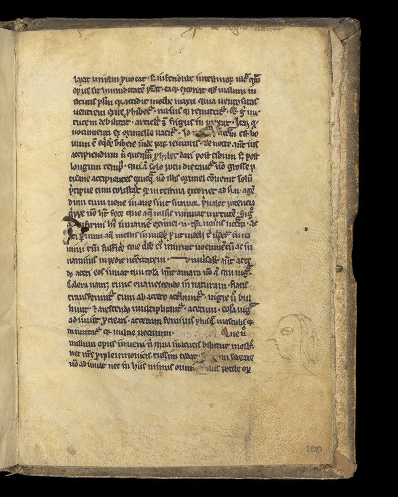 No text description is available for this image