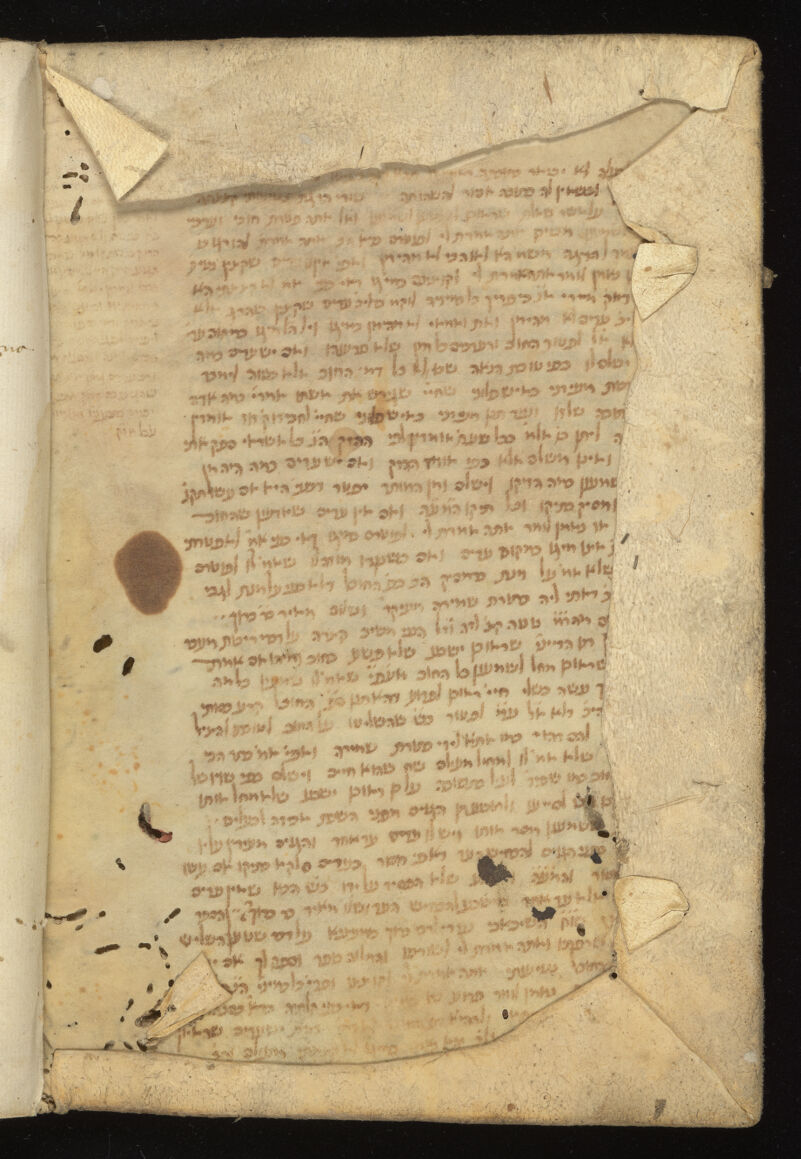 No text description is available for this image