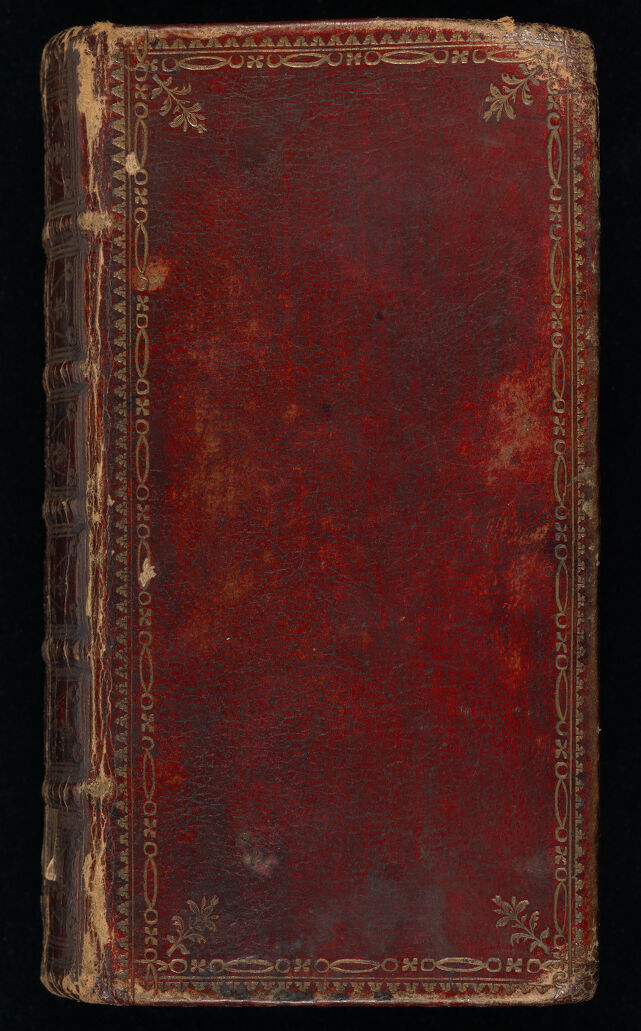 No text description is available for this image