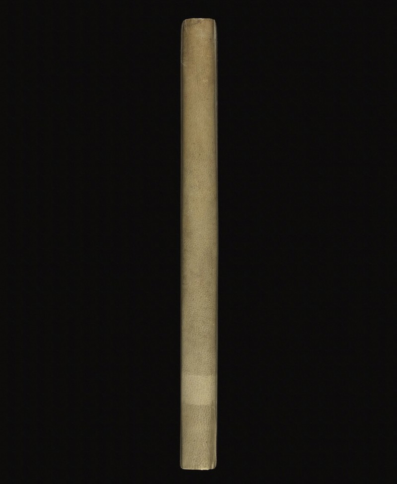 No text description is available for this image