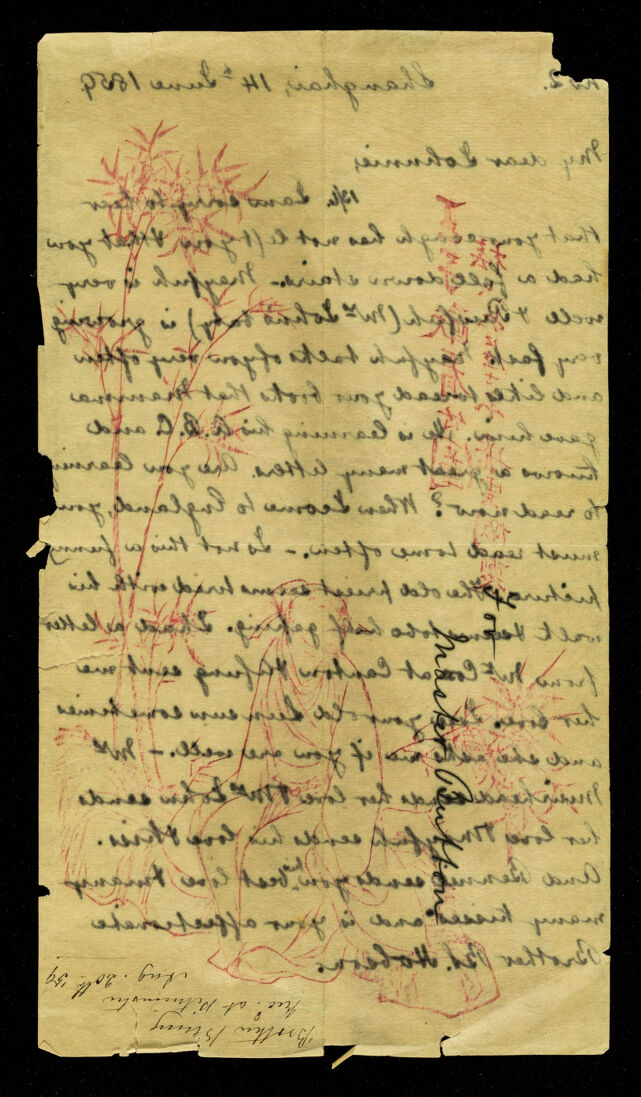 No text description is available for this image