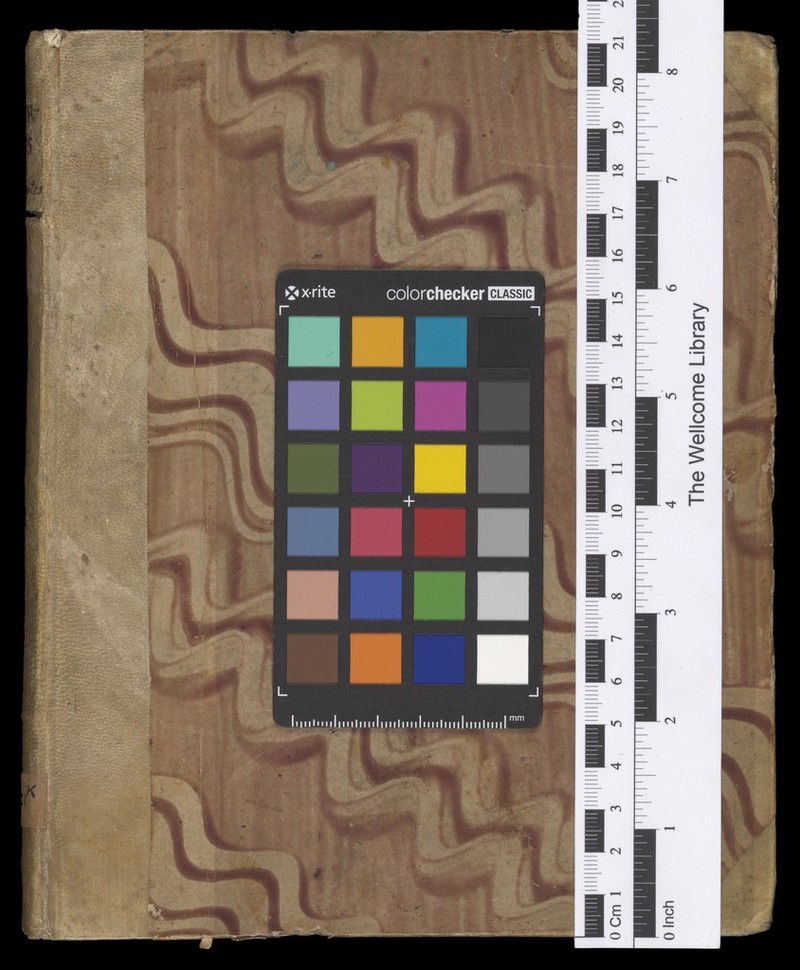 No text description is available for this image