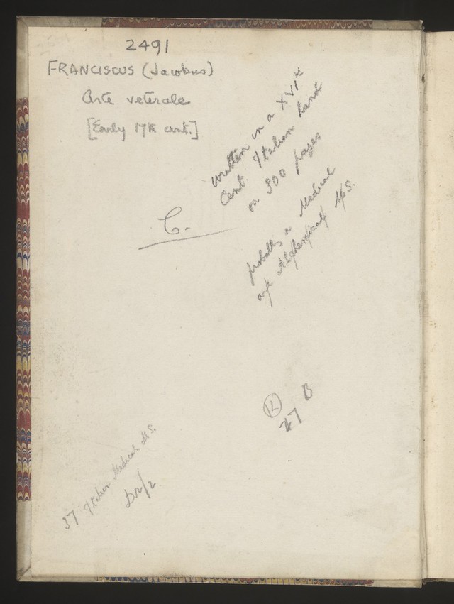 digitised image 2