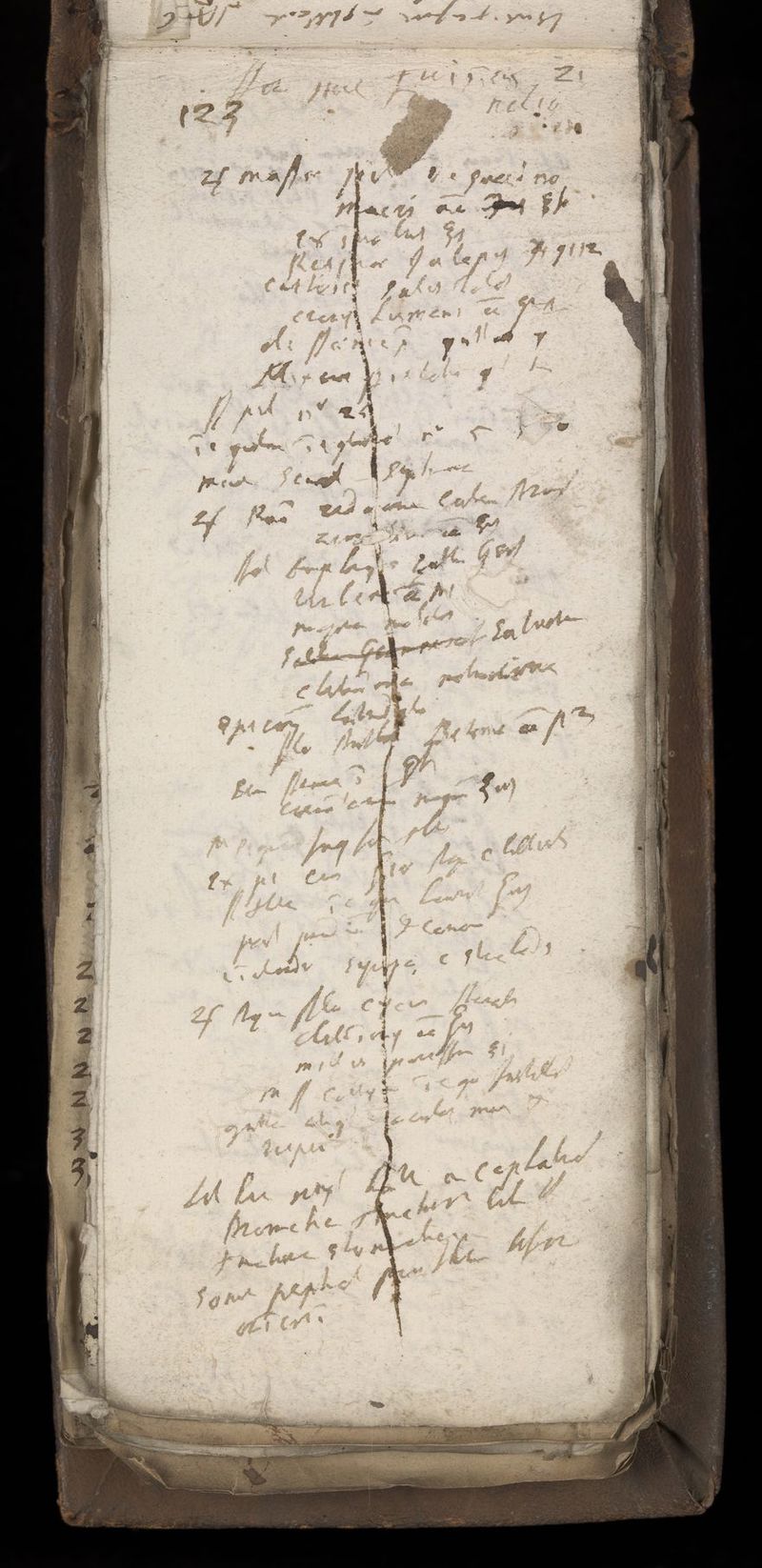 No text description is available for this image