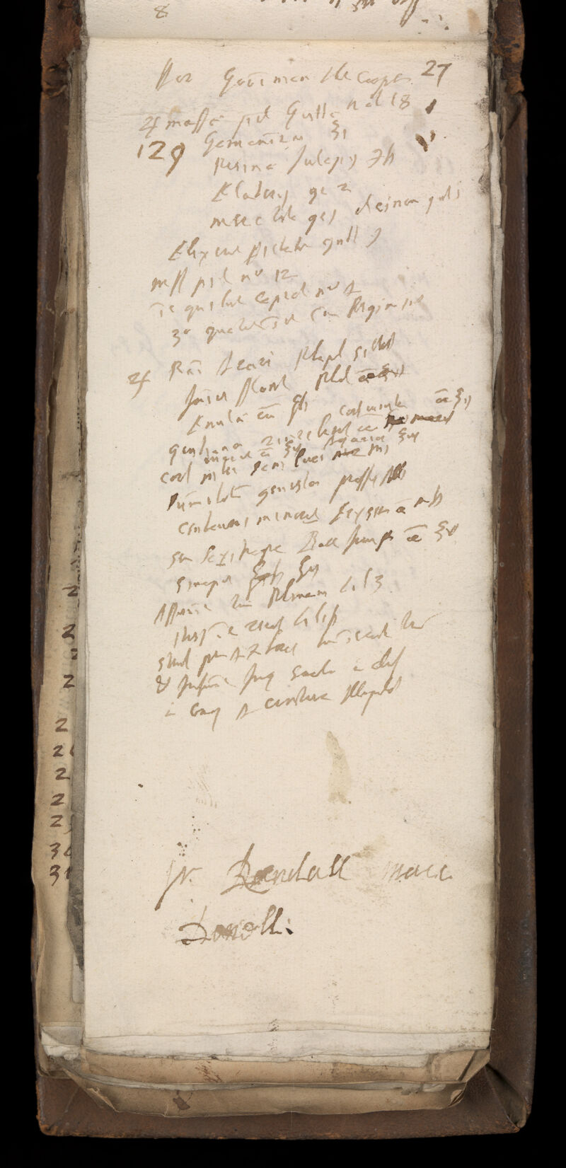 No text description is available for this image