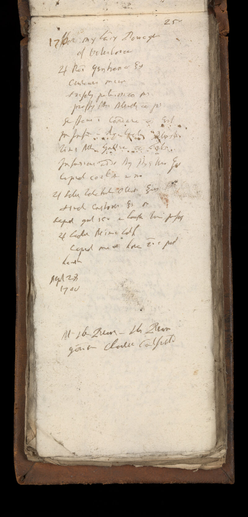 No text description is available for this image