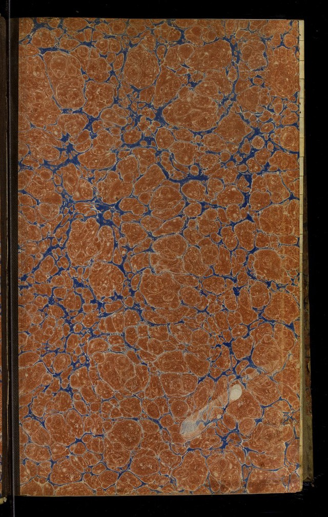 digitised image 3