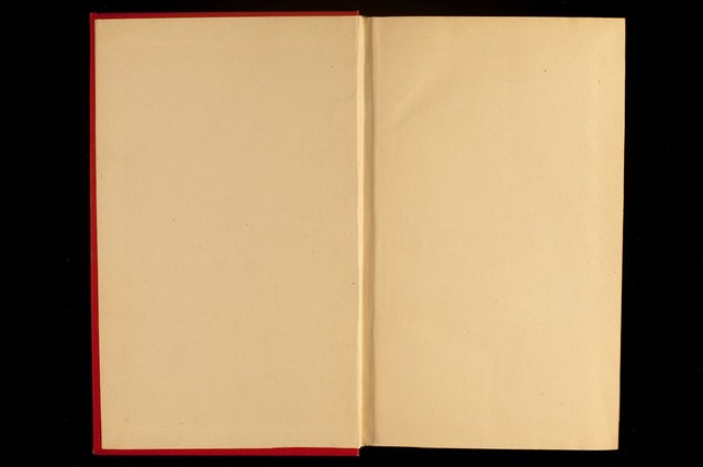 digitised image 2