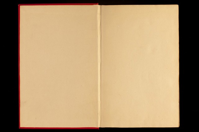 digitised image 2
