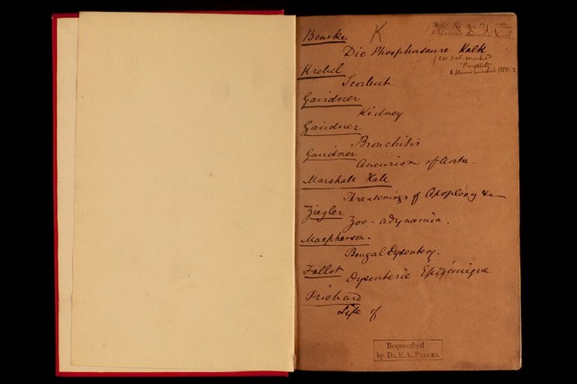 digitised image 3