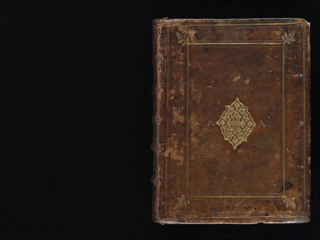 No text description is available for this image