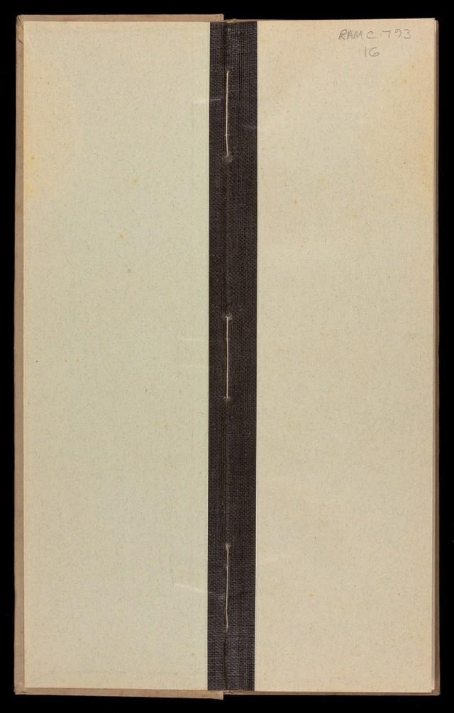 digitised image 2