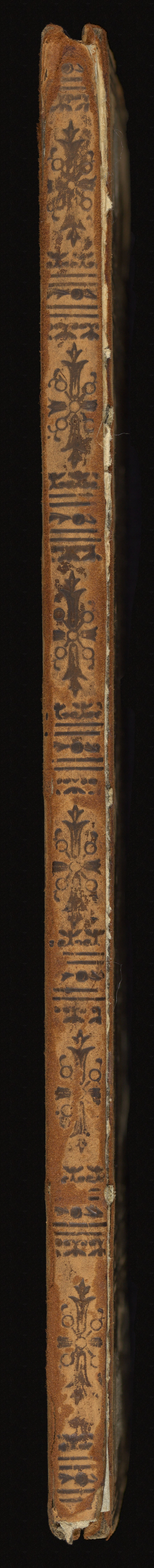 No text description is available for this image