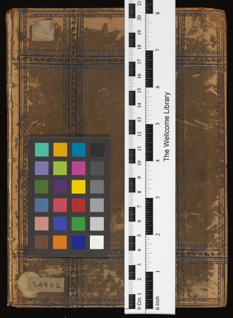 No text description is available for this image