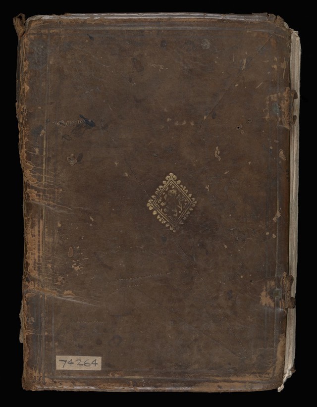 No text description is available for this image