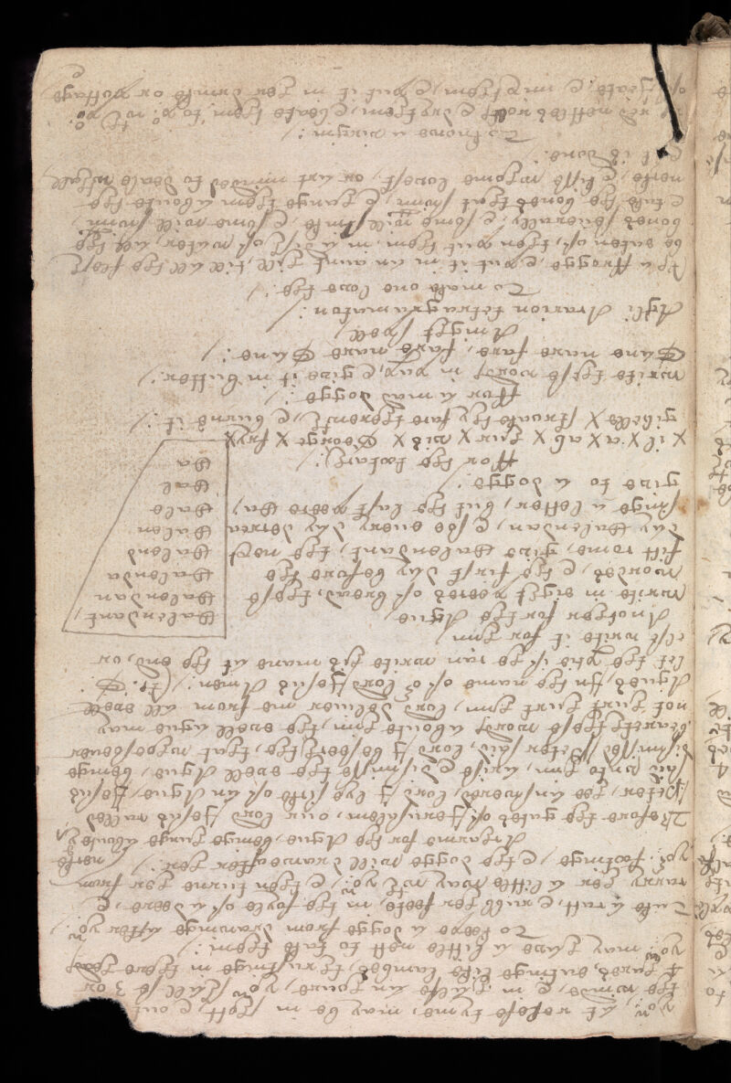 No text description is available for this image