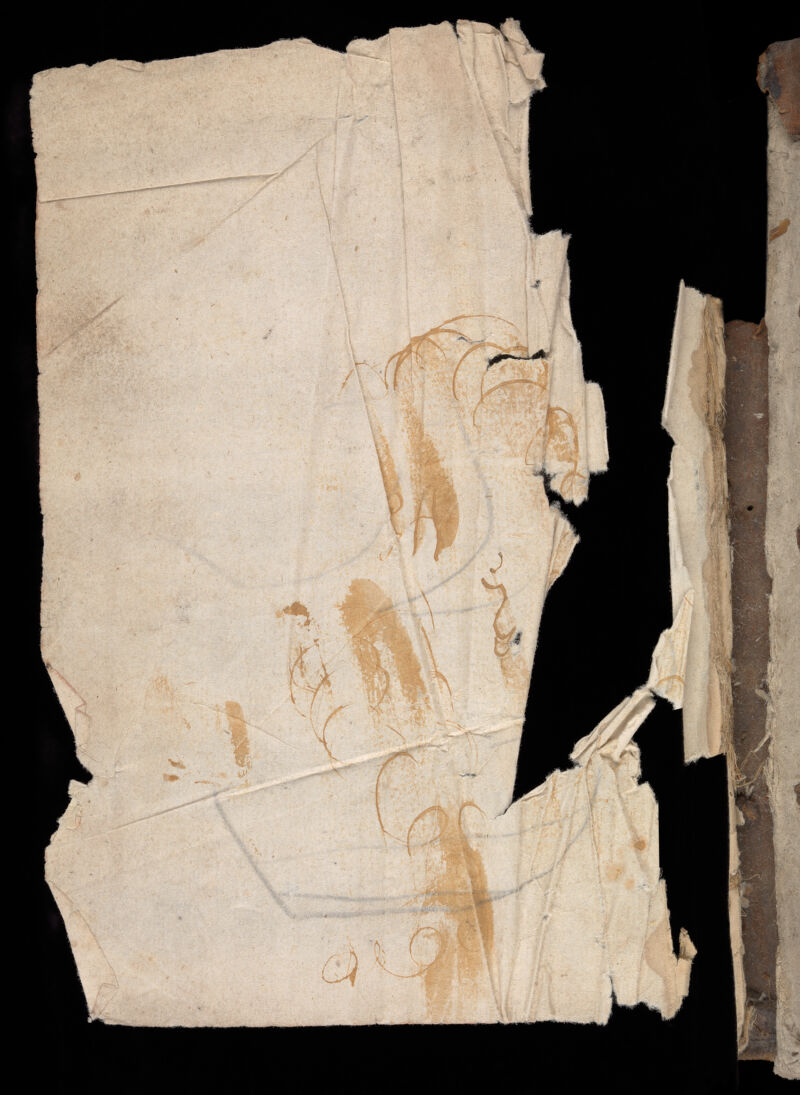 No text description is available for this image