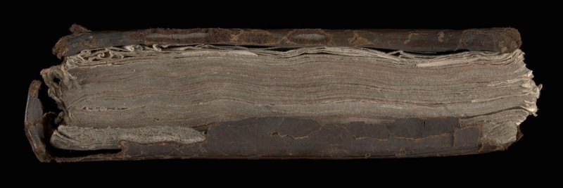 No text description is available for this image