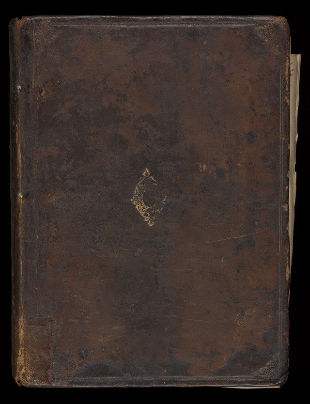 No text description is available for this image