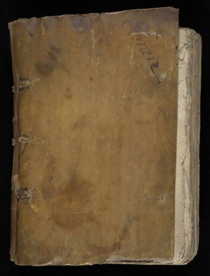 No text description is available for this image