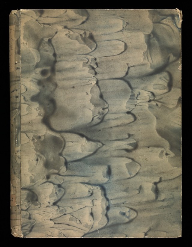 No text description is available for this image