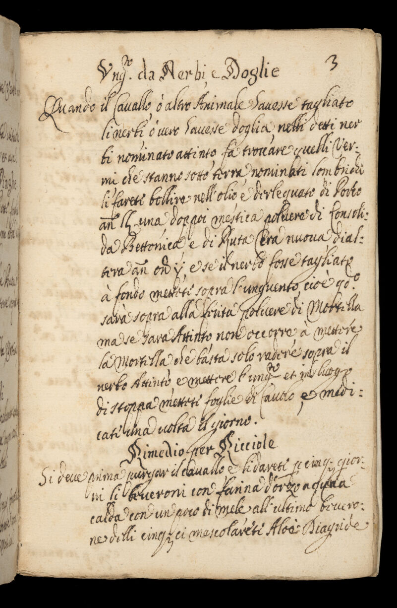 No text description is available for this image