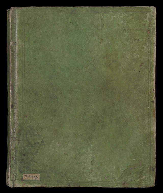 No text description is available for this image