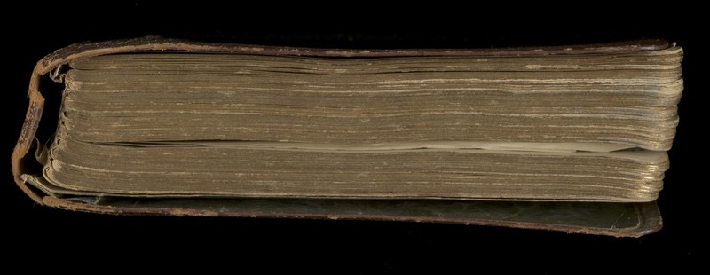 No text description is available for this image