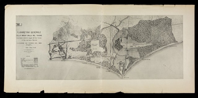 digitised image 3