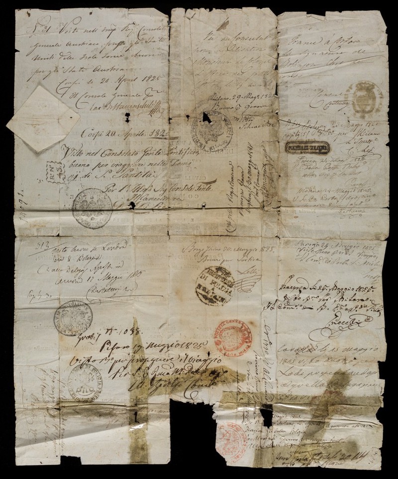 No text description is available for this image