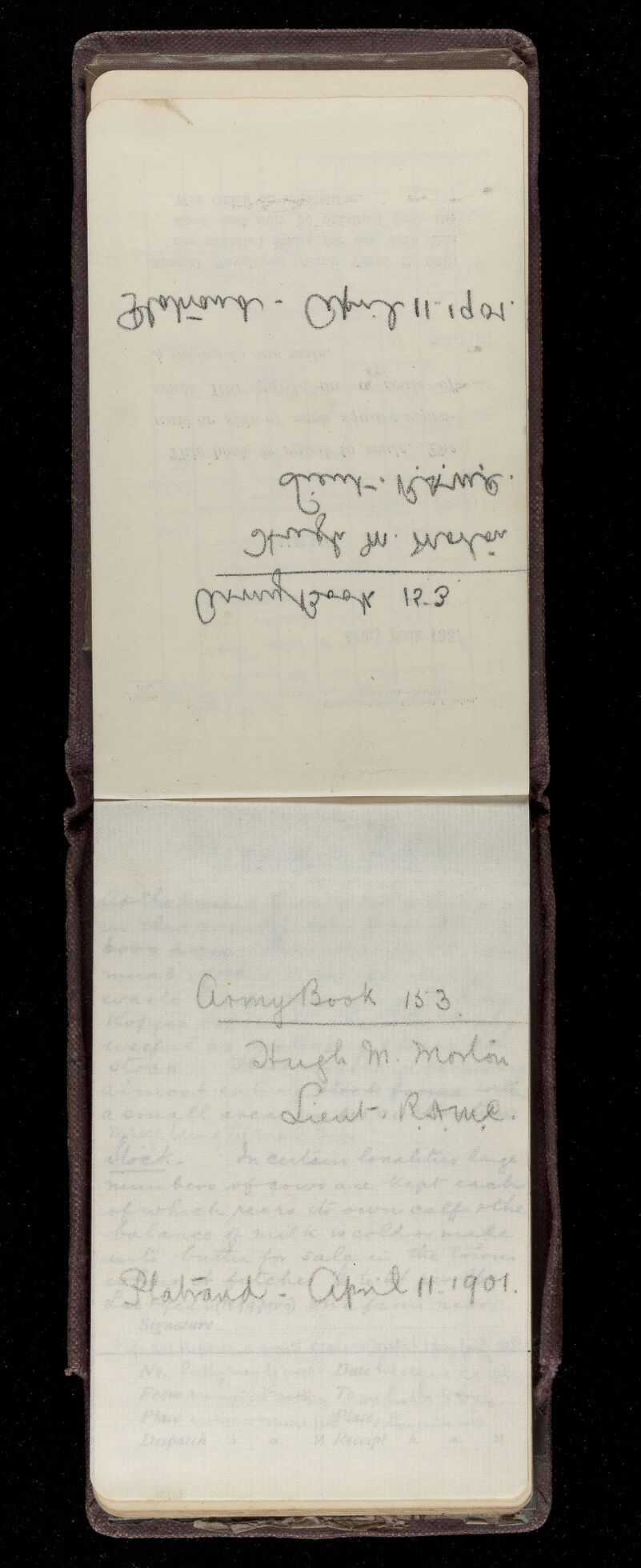 No text description is available for this image